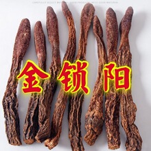 ҰɽiɹŰƽiɐɳĮ˅䬔ݾݲ