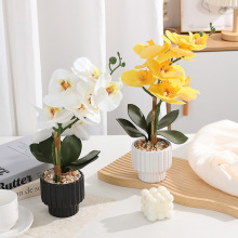 mԻҾӿ͏dbط滨辰滨bֲ