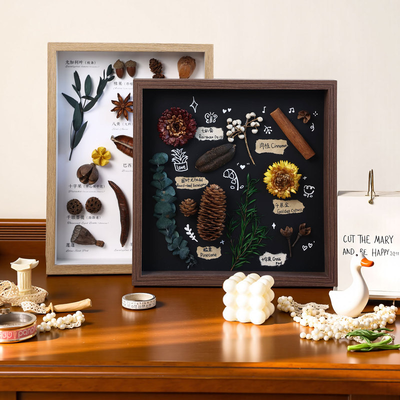 DIY Handmade Photo Frame 3D Hollow Specimen Frame for Shells, Stones, Plants, Dried Flowers Collection, Preservation, and Display Frame DIY Handmade Photo Frame 3D Hollow Specimen Frame for Shells, Stones, Plants, Dried Flowers Collection, Preservation, and Display Frame
