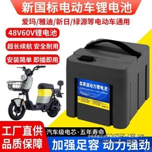 星恒天能同款48V新国标锂电池爱玛绿源新日台铃116A20AH24AH