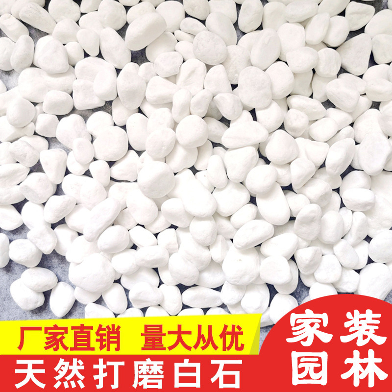 Natural White Pebbles, White Stones, White Marble Garden Gardening Potted Stones, Succulent Paving Courtyard Landscaping Natural White Pebbles, White Stones, White Marble Garden Gardening Potted Stones, Succulent Paving Courtyard Landscaping