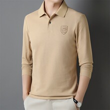 2025�����L�伃��T���г������e���I���·� �r����������ʿPOLO��