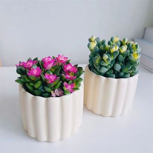 ¹�Ǻ��Ĵ�ѩ֮���\����ֲ��Gֲ��������ֲ�Ｊ�����������