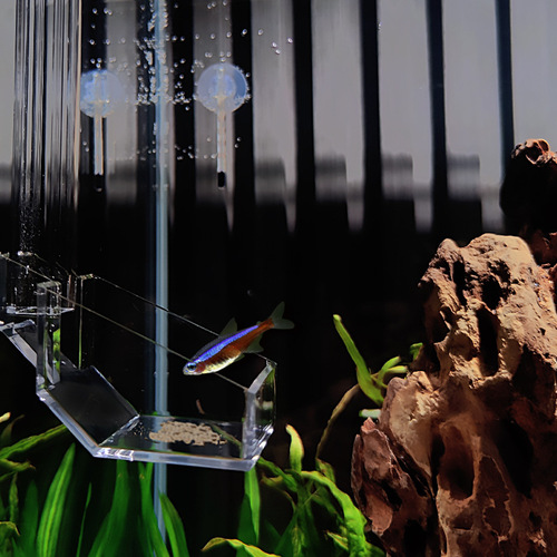 Feeding tube feeder for ornamental fish, crystal shrimp feeding tube, Bishuifeng and acrylic feeding tube
