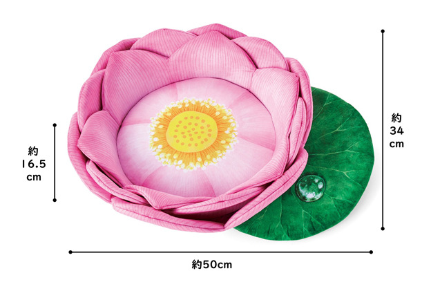 Transfronterizo nuevo gato de juguete gato de loto cojín gato mascota juguete cojín de peluche de juguete