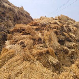 Դ�^���S�G����ɻ�ӷ�ɳ�����o�´��ﱣ�ط����ݺ���