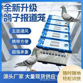 鸽笼鸽子报道笼鸽子探视笼赛鸽比赛笼塑料放飞鸽笼赛鸽报道用品