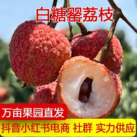 其他水果;桃子;芒果