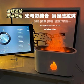 蓝牙音箱;露营风扇;加湿器