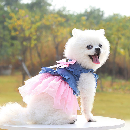 Spring, summer and autumn new dog, pet and cat clothing supplies, Korean style denim skirts, spring and summer clothing manufacturers wholesale
