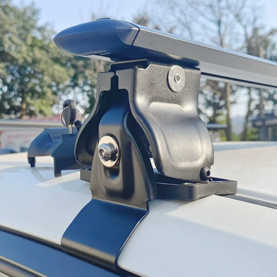 Carrier, Universal Luggage Rack