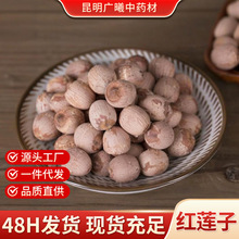湖南湘莲大颗粒带芯红莲子干货批发无熏硫无染色无添加