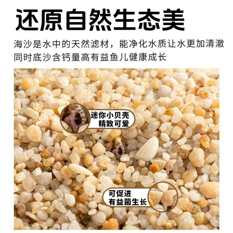 海沙寄居蟹沙水草螃蟹底沙石天然垫材原生贝壳沙免洗鱼缸造景沙子
