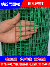 С�W���F�z�W���o�W�B�u���������F�W��W�Bֳ�����̨���o�W