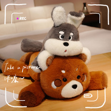 可爱小浣熊玩偶毛绒玩具西高地公仔床上女生睡觉抱枕儿童生日礼物