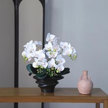 仿真蝴蝶兰盆景假花仿真花摆件餐桌玄关高档客厅电视柜装饰花艺