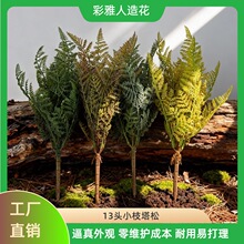 �������Gֲާ�13ܛ�z���ɱ������辰�쾰���Ⲽ���廨�b�