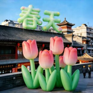 ���������㻨�����ģ��ͨ���͑����b�ģ���ӭ�������ߔ[��