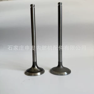 In stock: Cummins 6CT intake valve 3924492, exhaust valve 3921444