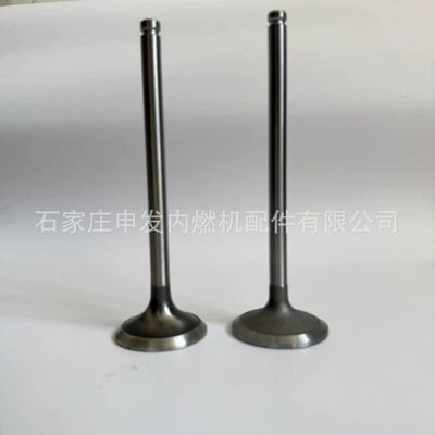 In stock: Cummins 6CT intake valve 3924492, exhaust valve 3921444