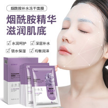 跨境批发片装施逅烟酰胺补水冻干面膜 补水保湿蚕丝嫩肤面膜冰膜