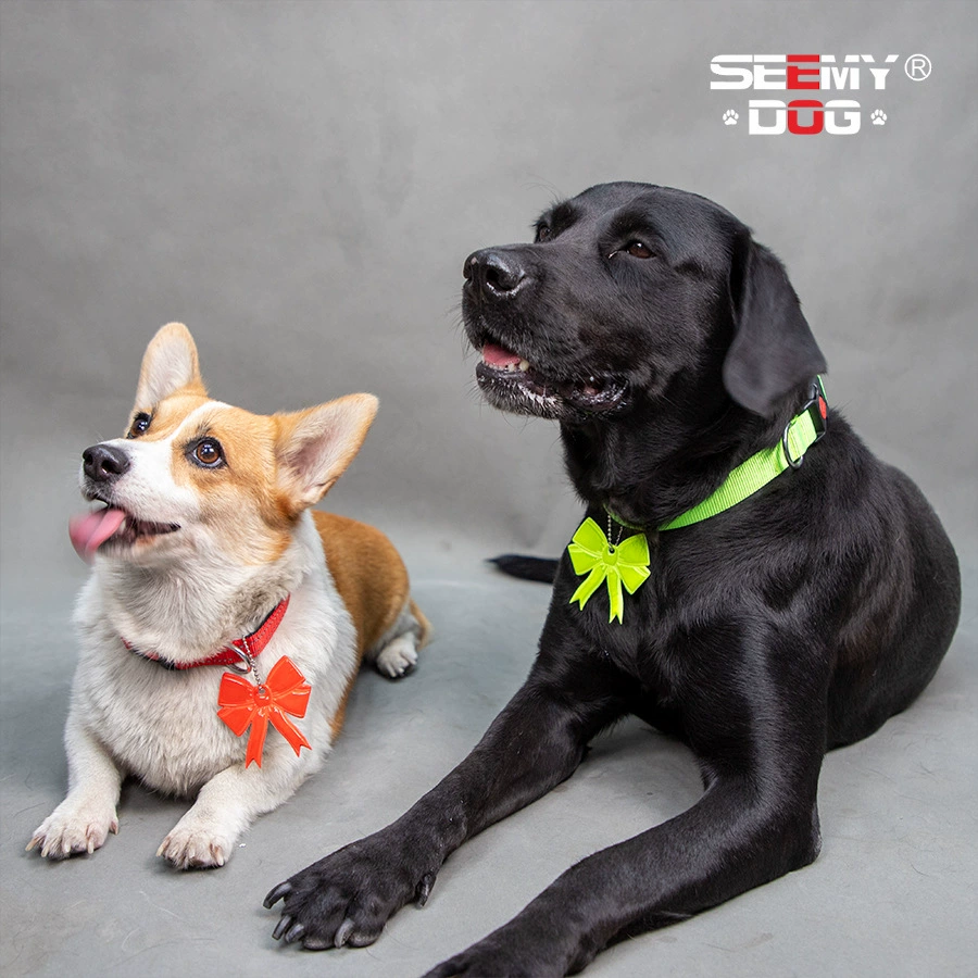 Светоотражающий брелок-подвеска для животных 2024 года, универсальный для кошек и собак, флуоресцентный светоотражающий аксессуар для безопасности, в наличии