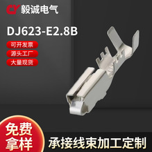 ӦDJ623-E2.8B,623-E2.8ò߶ ķĸͭ ѹ