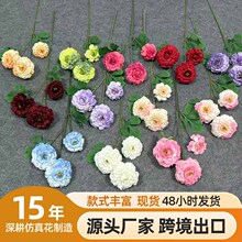 �����\����ëݢ��֦���ӻ����c��Y·���Ҿ��b��\���ٻ����l