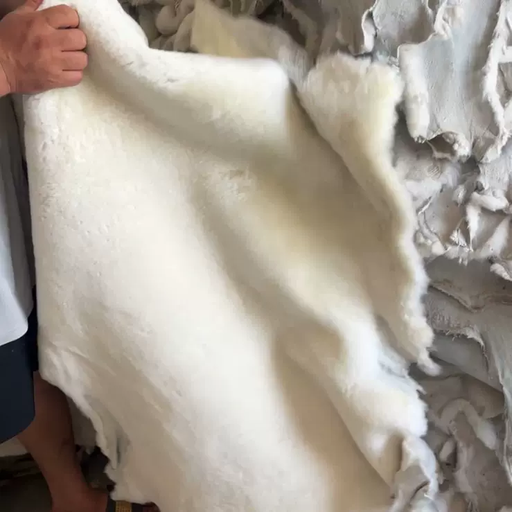 冬季羊毛整羊皮纯绵羊皮羊剪绒鞋里皮皮毛一体羊毛里皮料
