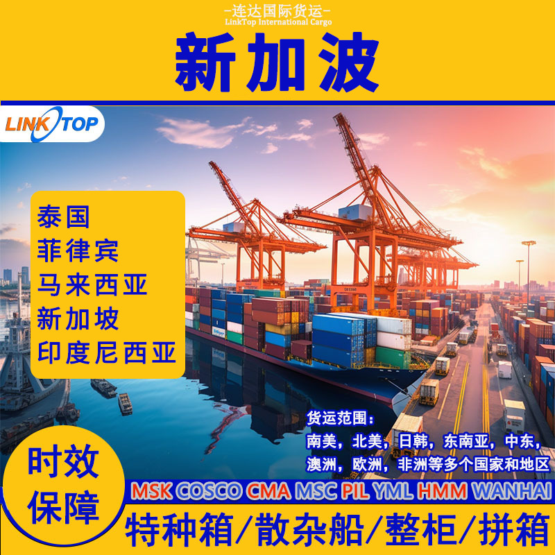 国际物流新加坡跨境运输专线进出口集装箱快递海运空运货代到门