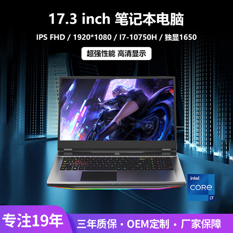 17.3 "Laptop Single Display Ultra Clear IPS Eye Protection Metal Light and Large Memory Long Endurance Game Book