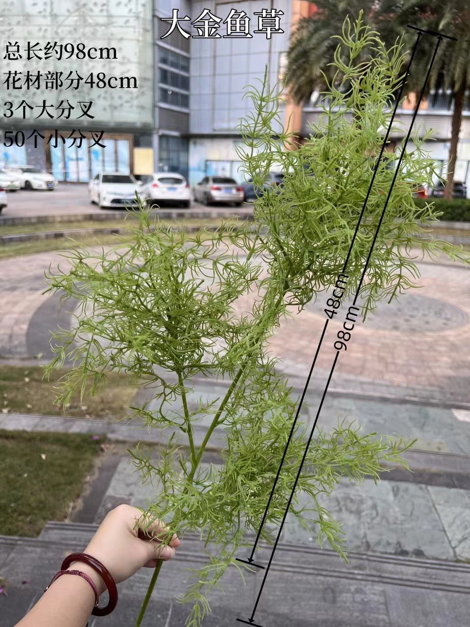 微信图片_20240227182122