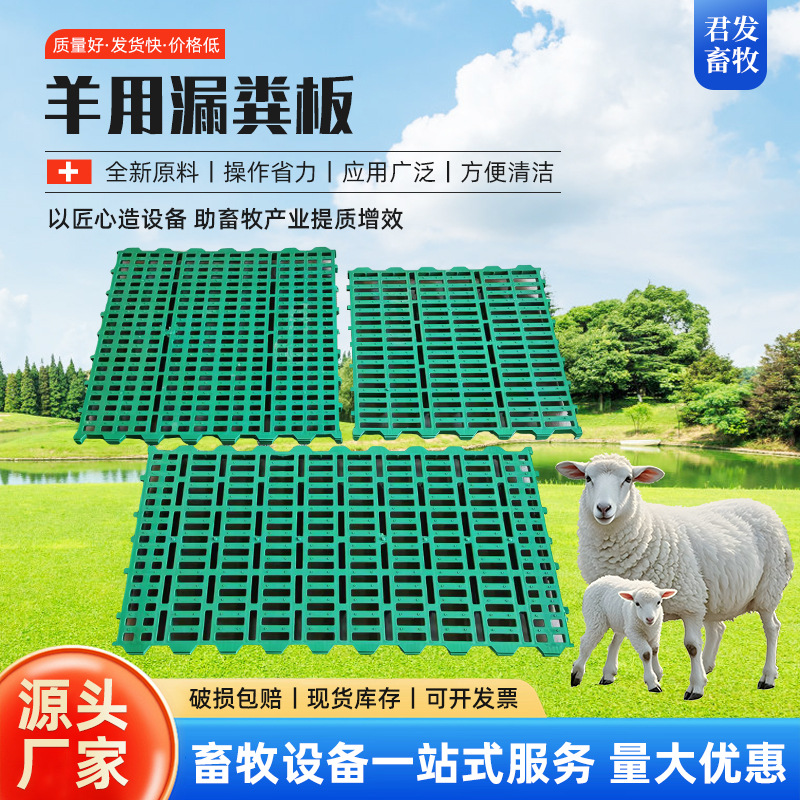 Placa de fuga de estiércol gruesa para ovejas para ovejas, corral de ovejas, corral de ovejas, cama de ovejas de plástico, suelo de ovejas, equipo de cría