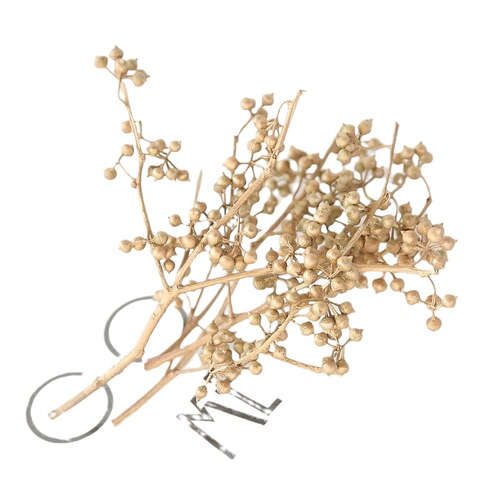 Preserved flower DIY materials and accessories Star anise and millet fruit Preserved flower gift box glass cover garland material