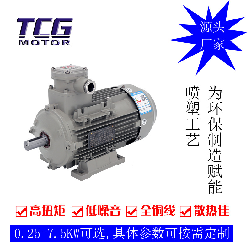 供应隔爆型三相异步电机 CT4接线盒250W防爆电机 构造紧凑 易安装