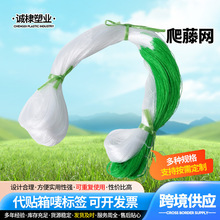 ���پW�羳�����z�ϵ��ϰ���������W�Nֲ�Wɽș���ǽz�ϵ��Ͽ��