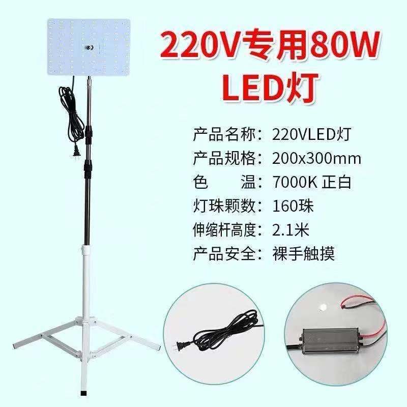 12v luz del mercado nocturno 48 v220 voltios batería carga led puesto luz súper brillante de baja tensión CC luz de emergencia exterior fábrica