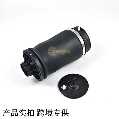 Bag 16632006251663200325, damping system