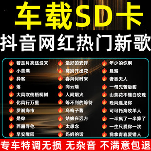 ܇�dsd������2025�¿�ȴ濨u�P����SD��Ʒ����܇�ȴ濨tf���濨U