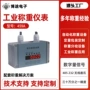 定制称重自动化显示仪表