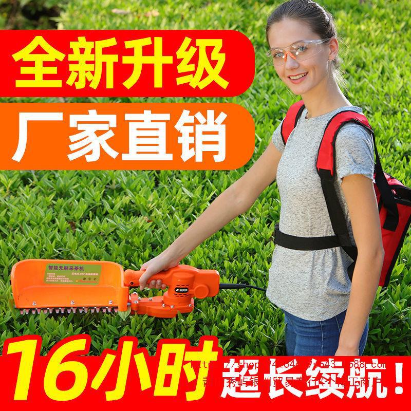 充电电动采茶机单人小型绿化绿篱机剪茶叶茶树修剪机采摘茶机神器