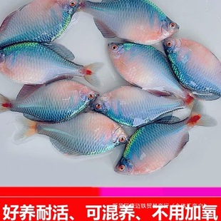 �QƤ������B�߲�ʯ�����~��ˮ�^�pԭ��Ⱥ�~����С���~�~���w��ˮ