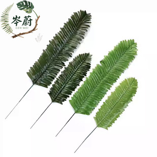 ���������F���~ �����Ɍ��b��~���}������؈��������沼�F�~