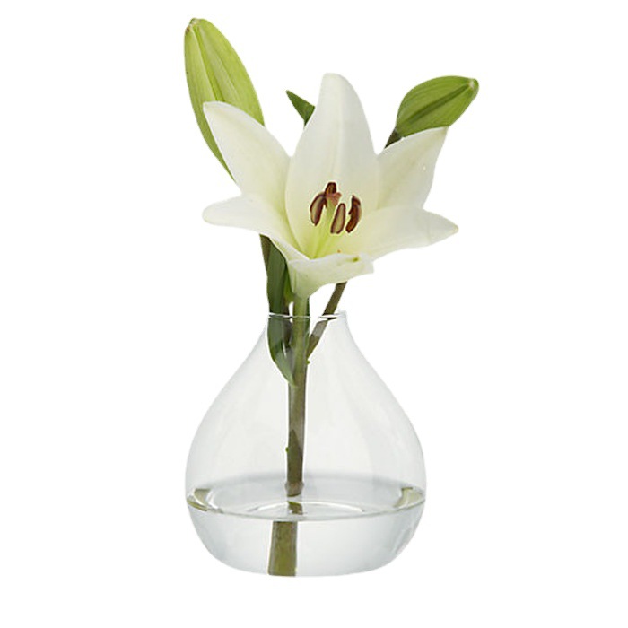 Customizado vasos de vidrio simplificados europeos hidropónicos transparentes decoración de mesa artesanía decoración botella de aroma decoración