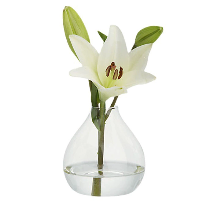 Стеклянная прозрачная аромалампа/ароматерапия? Hmm original: Glass transparent aromatherapy, custom-made, European style, simple and elegant design