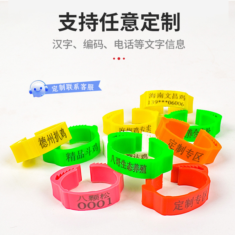 Anillo de pie de pollo tipo fichaje, anillo de pie ajustable, marca de identificación, anillo de etiqueta de plástico general para pollo