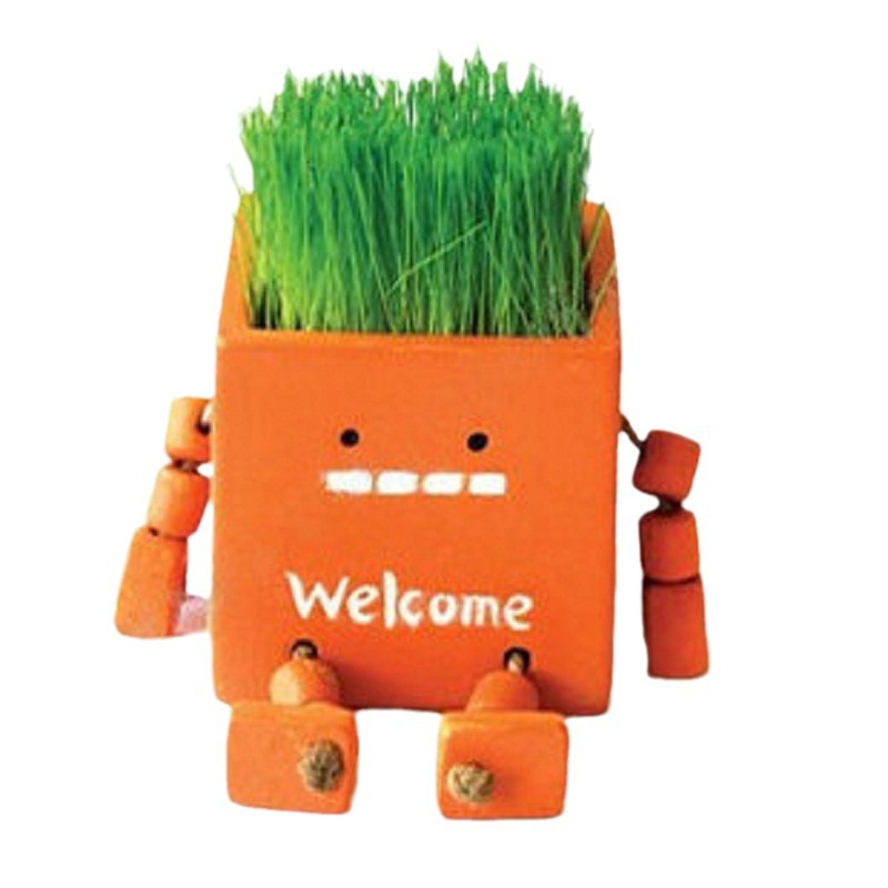 ��ֲ����ֲ����������� �������ſᷢ�ͻ��� ���Թ���Ʒ�ڼ�����