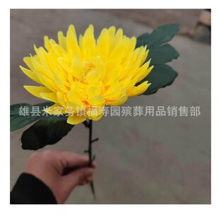 ����������ջ���֦�������������h�������ˮ���ׇ��׻���ӻ�Ȧ