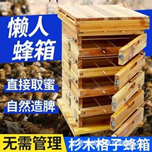 加大格子蜂箱中蜂煮蜡土养蜜蜂箱全套加厚烘干杉木五层蜂箱土蜂桶