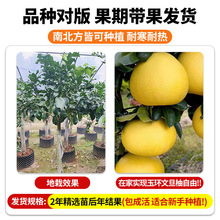��h�ĵ�����޽��������ĵ����Ә��箔��Y�������ϱ����N������